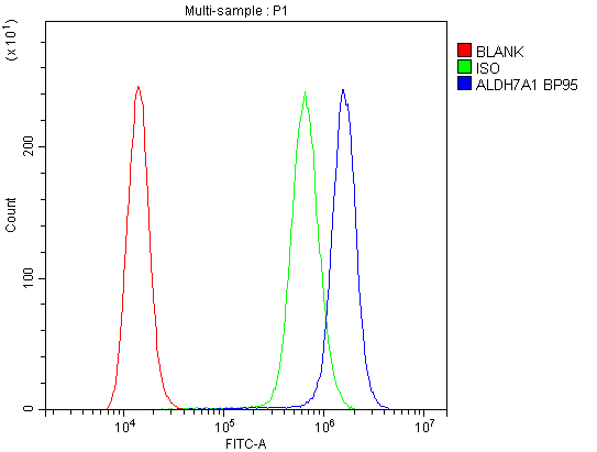 Polyclonal Rabbit anti-Human ALDH7A1 Antibody (IHC, WB)