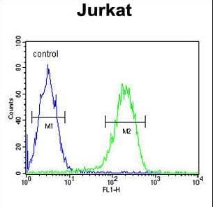 Polyclonal Rabbit anti-Human PAN3 Antibody (aa771-799, IHC, WB)