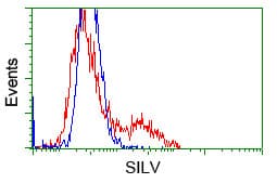 PMEL / SILV / gp100 Antibody (clone OTI7B2)