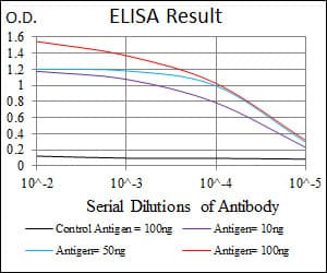 BPIFB1 Antibody (aa248-475, clone 4H2)