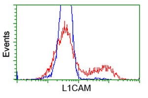 Monoclonal Mouse anti-Human L1CAM Antibody (clone OTI2C7, IHC, IF, WB)