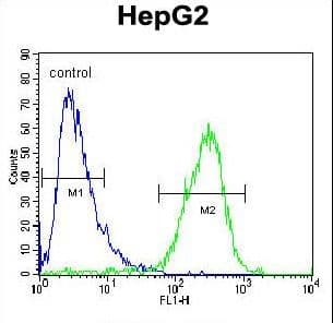 IHC-plus™ Polyclonal Rabbit anti-Human ZC3H12A / MCPIP1 Antibody (aa331-358, IHC, WB)