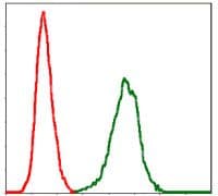 SERPINE1 / PAI-1 Antibody (clone 1D5)