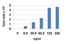 Human CCL24 / Eotaxin 2 Protein (Recombinant)