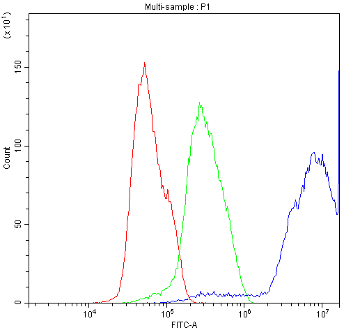 DBI / ACBD1 Antibody