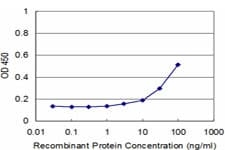 MYF6 / MRF4 Antibody (clone 1H3)