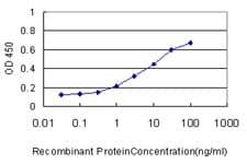 RAB43 Antibody (clone 5G4)