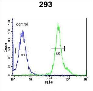 TSPAN3 Antibody (aa90-117)