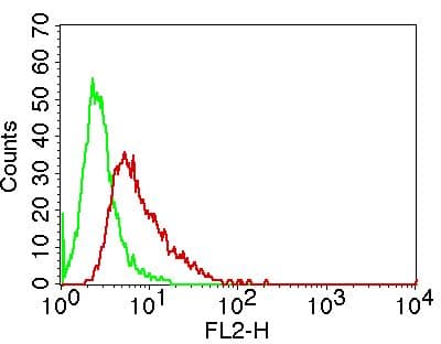 MSI2 Antibody
