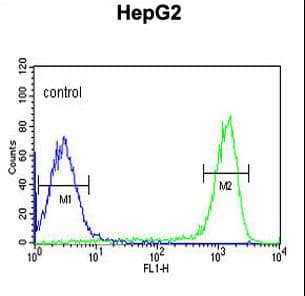 FAAH2 Antibody (aa409-438)