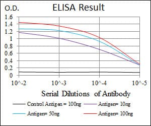 PPM1A / PP2CA Antibody (clone 7F12H6)