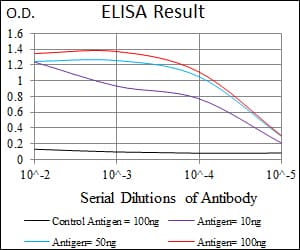 PAX3 Antibody (aa142-203, clone 7D8G7)
