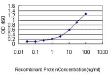 IHC-plus™ CUX1 / CASP Antibody (clone 2A10)