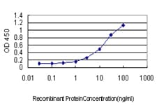 PSIP1 / LEDGF Antibody (clone 3H1)