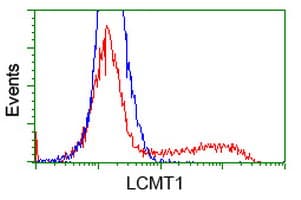 LCMT1 Antibody (clone OTI 1G5)