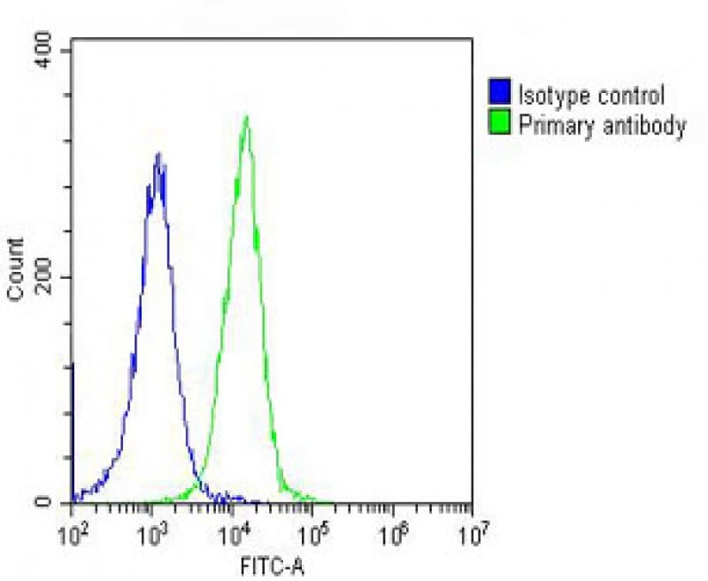 PFN1 / Profilin 1 Antibody