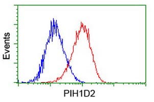PIH1D2 Antibody (clone OTI4A10)