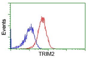 KIAA0517 / TRIM2 Antibody (clone OTI4E5)