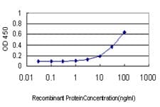 IHC-plus™ KPNA1 / Importin Alpha 5 Antibody (clone 2A4-1B5)