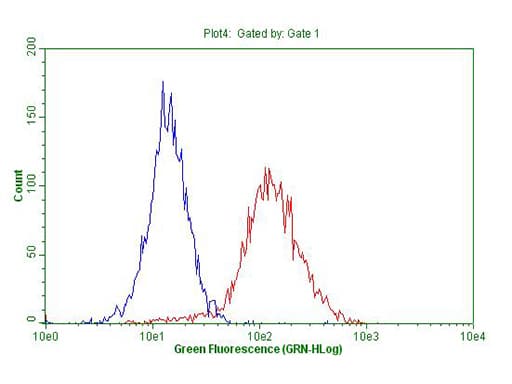 ABCB1 / MDR1 / P Glycoprotein Antibody (aa995-1280, clone OTI9C10)