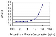 PPIC / Cyclophilin C Antibody (clone 1A10)