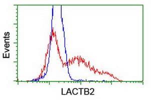 LACTB2 Antibody (clone OTI3A5)