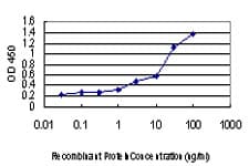EDN1 / Endothelin 1 Antibody (clone 3D6)