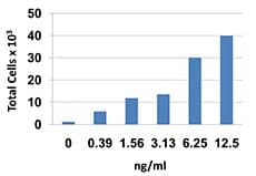 Mouse I-309 / CCL1 Protein (Recombinant)
