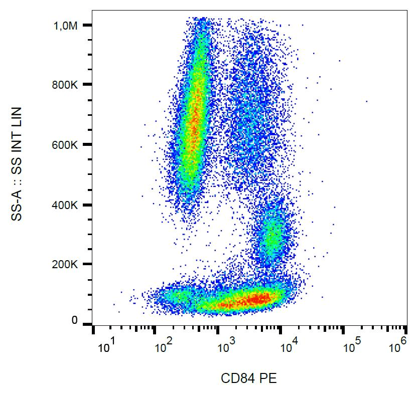 Monoclonal Mouse anti-Human CD84 / SLAMF5 Antibody (clone CD84.1.21, PE)