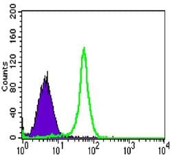 Monoclonal Mouse anti-Human TAB2 Antibody (clone 3B5, WB)