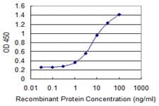 MTCP1 Antibody (clone 1G12)