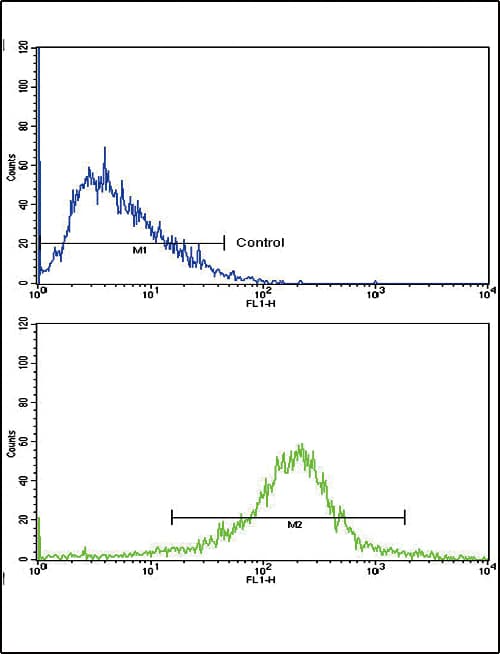 LRPAP1 Antibody (aa281-309)