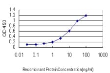 Monoclonal Mouse anti-Human CDK4 Antibody (clone 4F11, IF, WB)