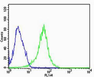 REG3A Antibody (aa129-163)
