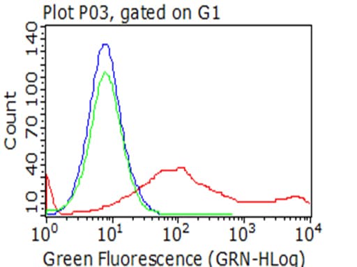 Monoclonal Mouse anti-Human HAVCR2 / TIM-3 Antibody (clone OTI1C4, WB)