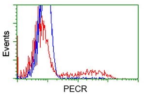 PECR Antibody (clone OTI2B2)