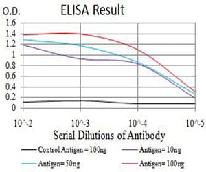 AXIN1 / Axin-1 Antibody (clone 4F10G1)