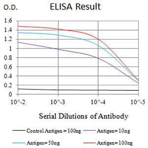 JAG1 / Jagged 1 Antibody (clone 6A9B2)