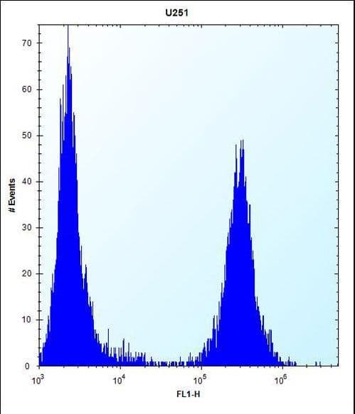 TGFBI Antibody (aa106-135)