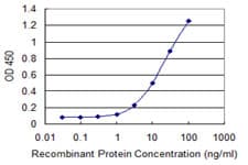 RING1 Antibody (clone 4E8)