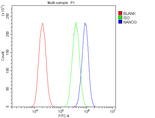 NANOG Antibody