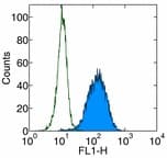 IHC-plus™ PDCD1 / CD279 / PD-1 Antibody (clone J116)