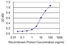 Monoclonal Mouse anti-Human UVRAG Antibody (clone 2E8, IF, WB)