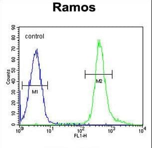 PNLDC1 Antibody (aa449-478)