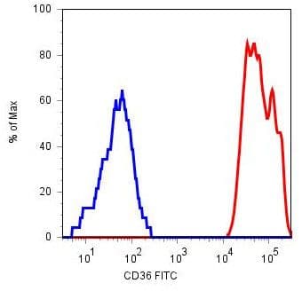 CD36 Antibody (clone TR9)