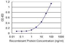 FZD7 / Frizzled 7 Antibody (clone 4D9)