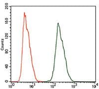 Monoclonal Mouse anti-Human ALDH2 Antibody (clone 4G6A3, Amino Acid: 317-517, IHC, IF, WB)