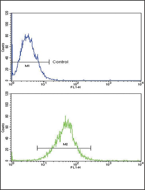 AcPL / IL18RAP Antibody (aa73-101)