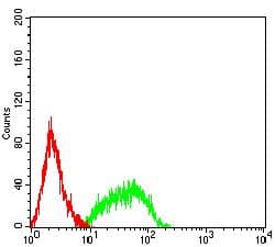 Monoclonal Mouse anti-Human PTPRF Antibody (clone 6D7C7, WB)