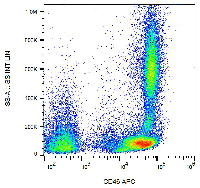 Monoclonal Mouse anti-Human CD46 Antibody (clone MEM-258, APC, WB)